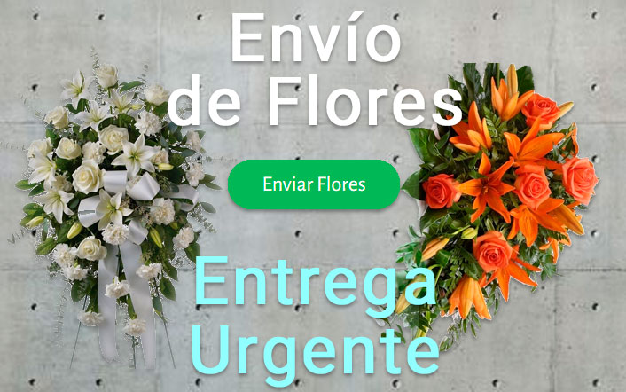 Envio de flores urgente a Funeraria Córdoba